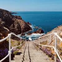 Island Pulse: A Solo Traveller's Base in Saint Helier, Jersey 🌊