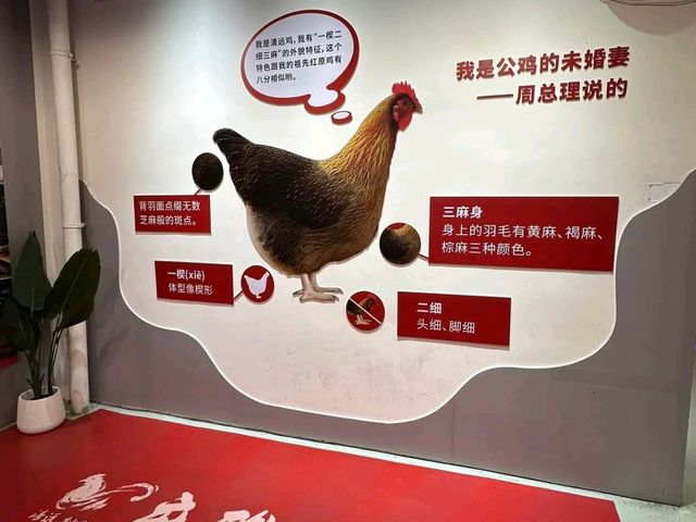 Taste the Authentic "First Chicken of Lingnan"