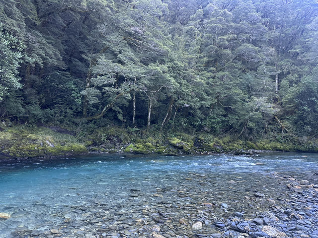 紐西蘭人間天堂