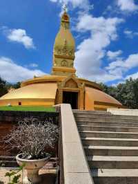 🌺ชวนเที่ยว วัดพระธาตุหนองบัว