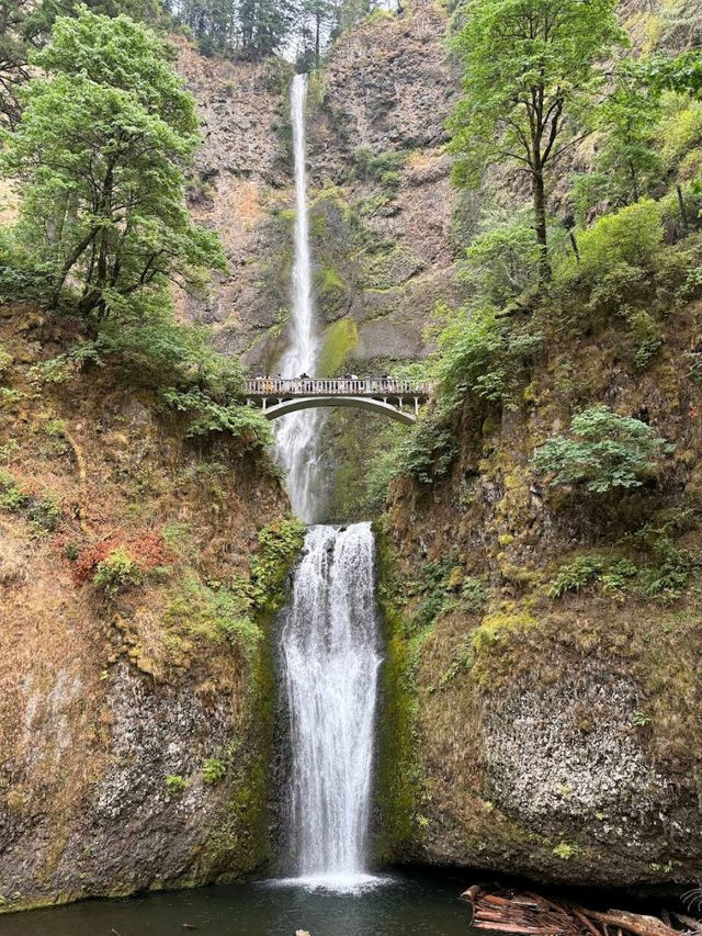 Multnomah Falls (OR)