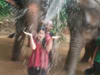 Kerchor elephant eco park