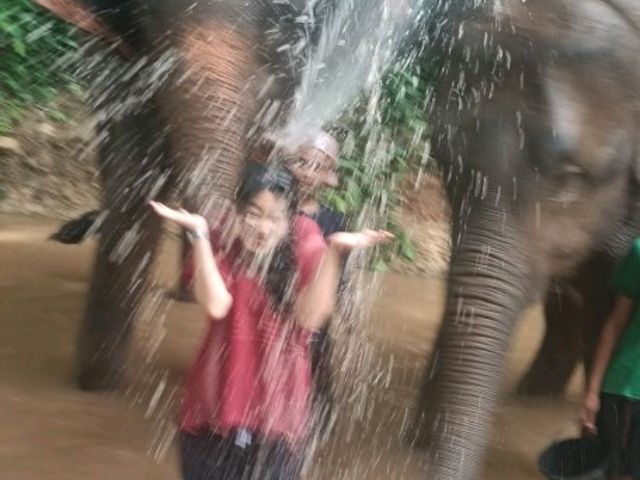 Kerchor elephant eco park