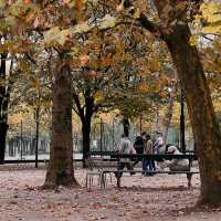 🍁 Autumn in Paris | Gentle Moments at Jardin du Luxembourg