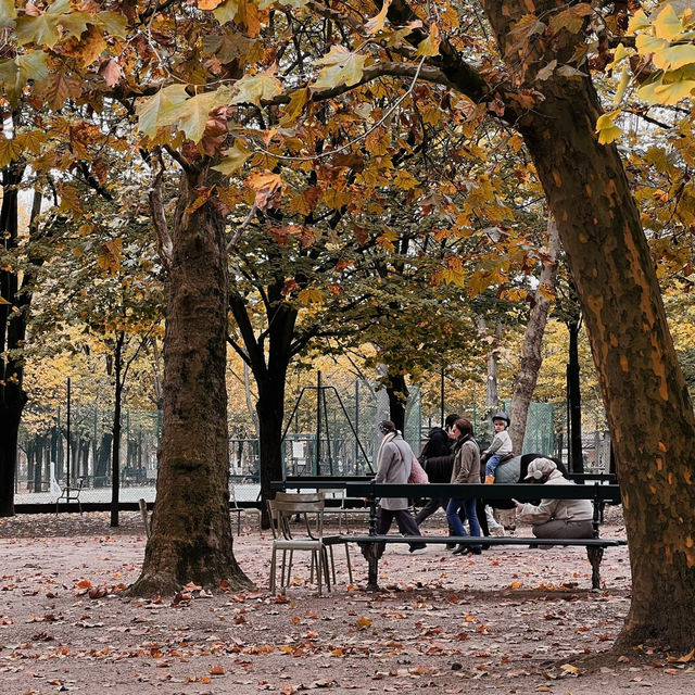 🍁 Autumn in Paris | Gentle Moments at Jardin du Luxembourg