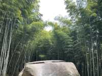 奈良　飛鳥の歴史をめぐる