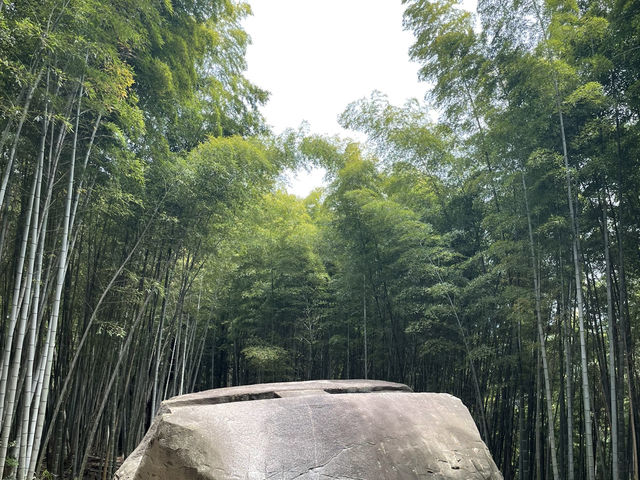 奈良　飛鳥の歴史をめぐる