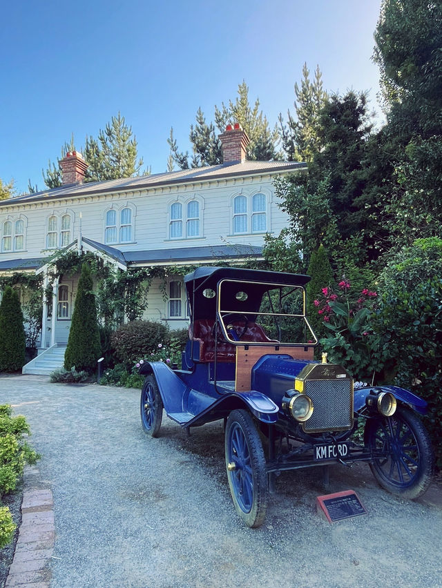 🇳🇿紐西蘭必訪 · 漢米爾頓花園｜一座活的園林藝術博物館 🌿✨
