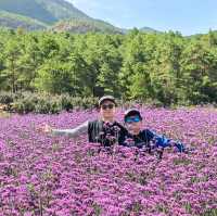 親子遊好去處！靚爆花海🌻聽花谷-麗江百花園