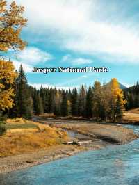 Jasper National Park 