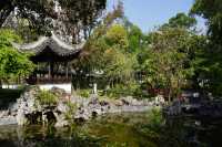 九龍寨城公園｜繁華都市中的歷史綠洲🌿