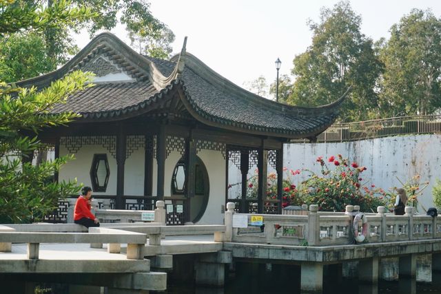 九龍寨城公園｜繁華都市中的歷史綠洲🌿