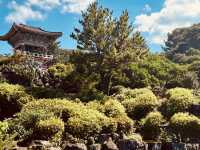 The Healing Spring Experience