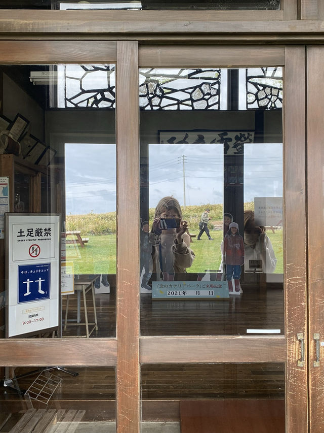  映画のロケ地がそのまま公園に！礼文島「北のカナリアパーク」で絶景ひとり占め🎬🌿