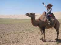 🇲🇳 몽골 여행 – 끝없는 초원에서의 자유 🐎🌿