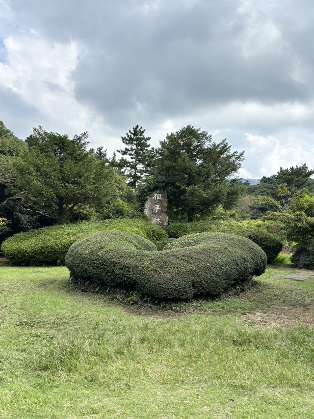 チェジュ島