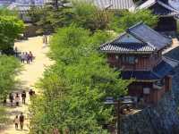 Matsuyama Castle 