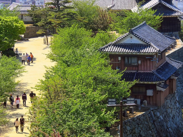 Matsuyama Castle 