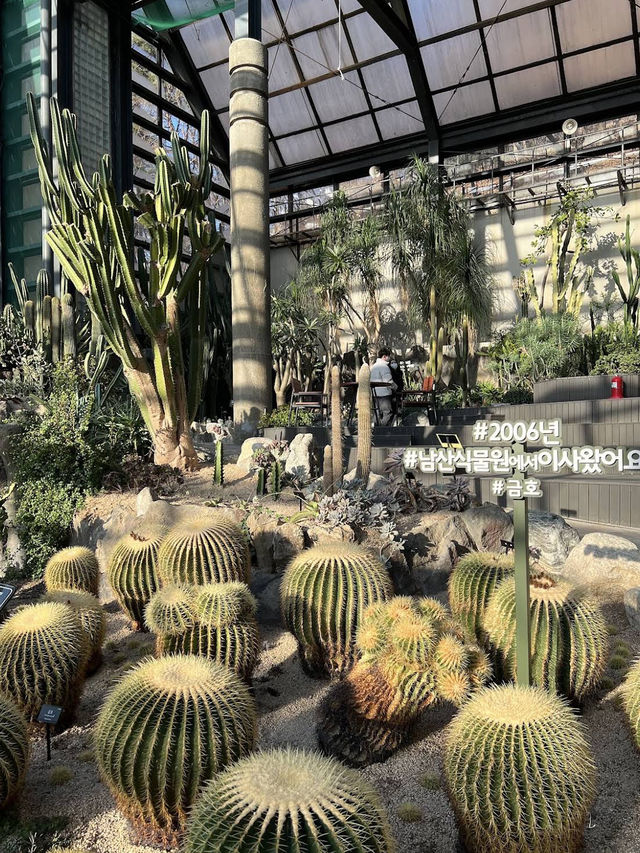 🌿 Green Oasis at Seoul Grand Park Botanical Garden  