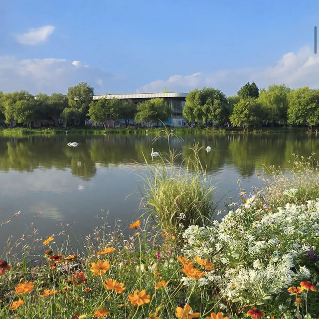 Suncheon Bay National Garden