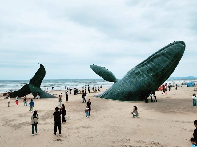 바다와 도시의 정취가 어우러진 옌타이 여행기 바다와 도시의 정취가 어우러진 옌타이 여행기