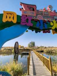 The Fairy-Tale Train Through Golden Populus Forests