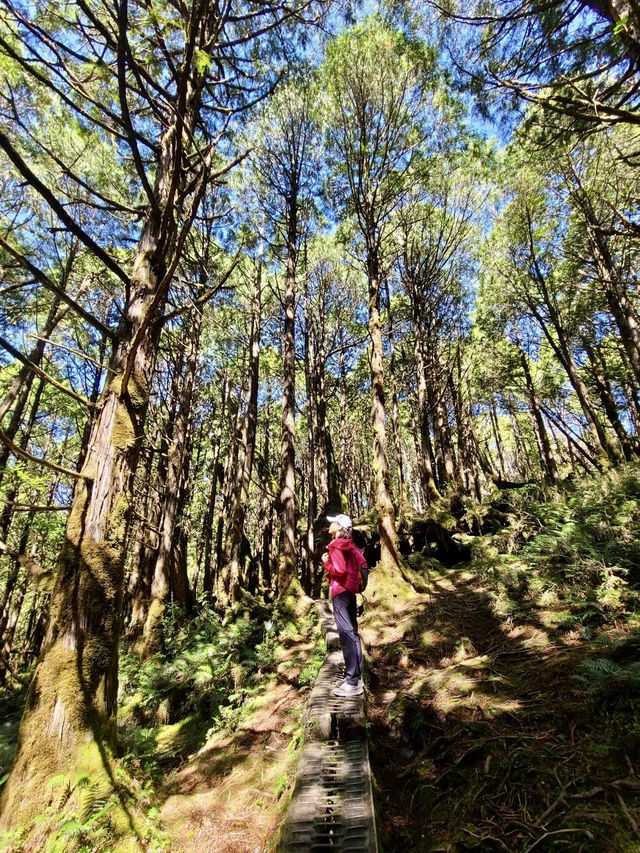 薄霧中的藍寶石——翠峰湖與望洋山漫步記