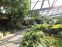 Yeomiji Botanical Garden