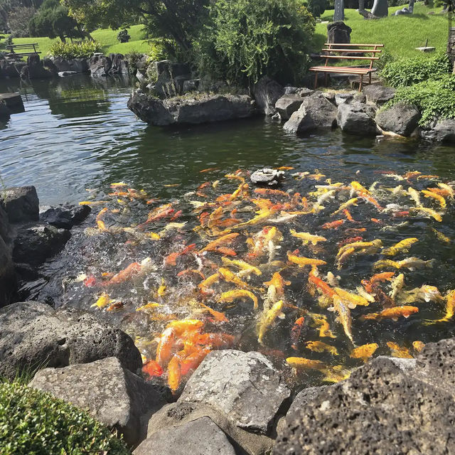 Spirited Garden