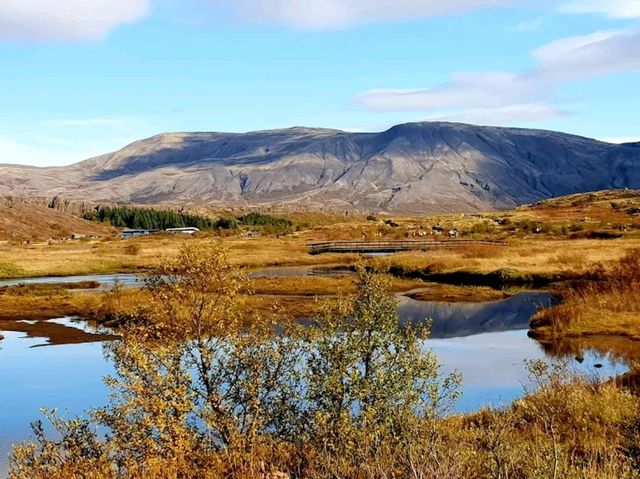 “Golden Reflections of Thingvellir”