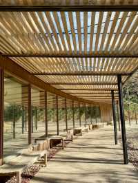 🍃 Nature, Architecture, and Sweets at Toraya Kobo in Gotemba