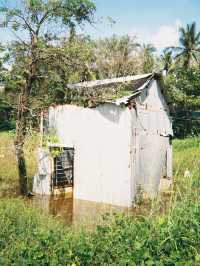 🌴 When to visit Phu Quoc 🇻🇳