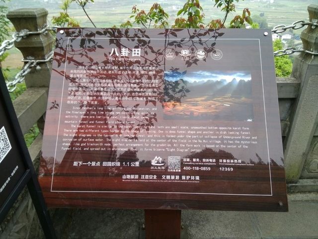 The Majestic Wanfenglin and the Mysterious Bagua Field