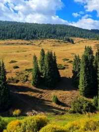 🌿🏔️ Ile-Alatau National Park – The Alpine Gem of Kazakhstan