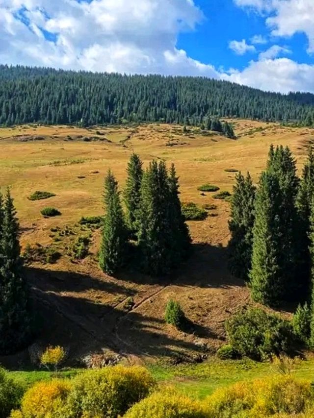 🌿🏔️ Ile-Alatau National Park – The Alpine Gem of Kazakhstan