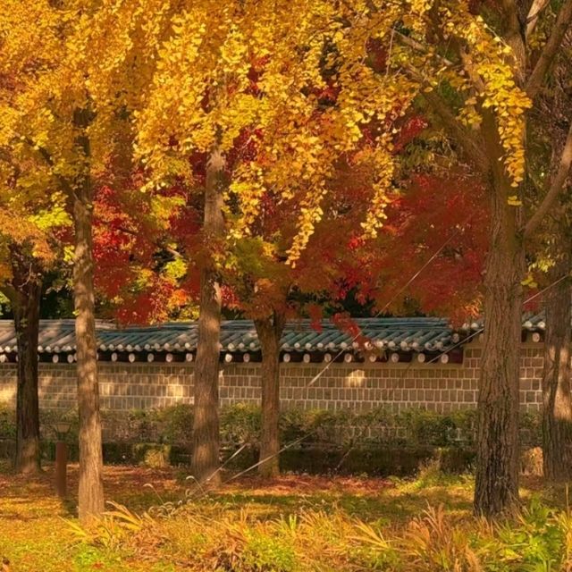 🏛️ Jongmyo Shrine – Seoul’s Timeless Confucian Heritage