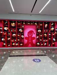 삼성동 타라호텔에 머물렀던 하루 ✨