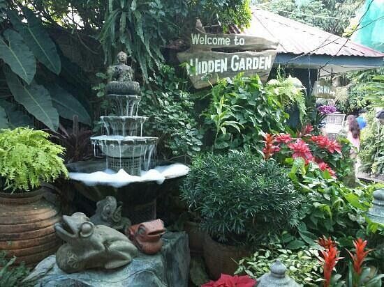 Hidden Garden - Authentic Ilocano Dishes with great garden ambiance Hidden Garden - Authentic Ilocano Dishes with great garden ambiance