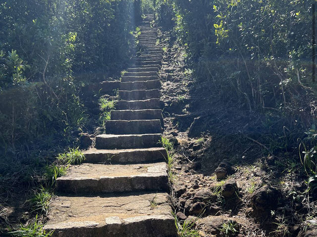 Dragon's Back 龍脊 Dragon's Back 龍脊