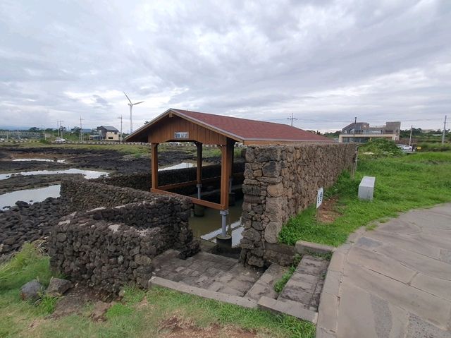 아름다운 바다 여행 📍제주도 아름다운 바다 여행 📍제주도
