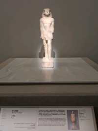 🇪🇬香港都睇到古埃及！故宮文化博物館木乃伊文明大展搶先睇