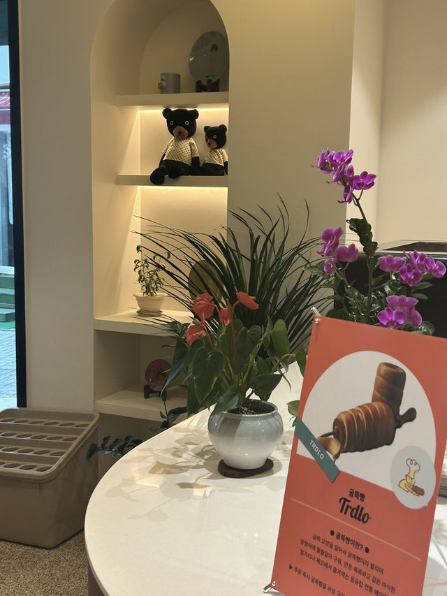 바삭한 굴뚝빵과 여유가 공존하는 베이커리 카페 바삭한 굴뚝빵과 여유가 공존하는 베이커리 카페