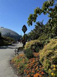 Queen Elizabeth Park