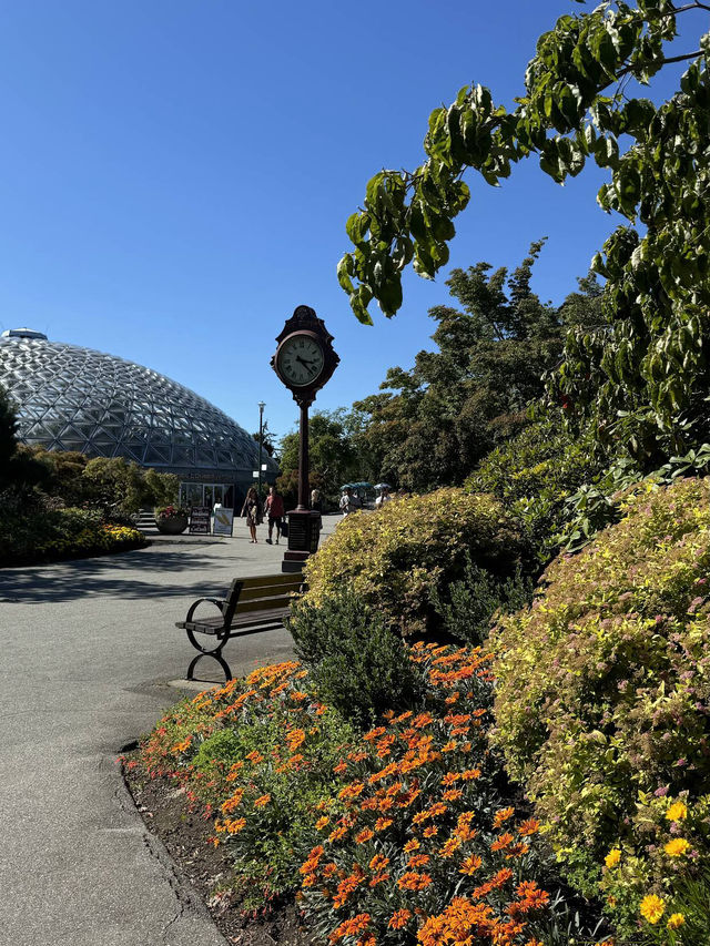 Queen Elizabeth Park Queen Elizabeth Park
