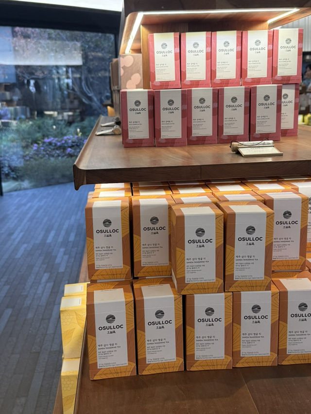 ๐ต ์ ์ฃผ ์ค์ค๋ก ํฐํ์ฐ์ค(ํฐ๋ฎค์ง์) ๐ต ์ ์ฃผ ์ค์ค๋ก ํฐํ์ฐ์ค(ํฐ๋ฎค์ง์)