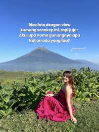 SWISSNYA INDONESIA VERSI JAWA TENGAH