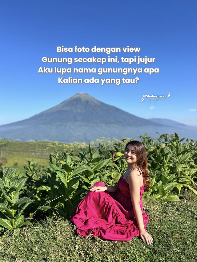 SWISSNYA INDONESIA VERSI JAWA TENGAH SWISSNYA INDONESIA VERSI JAWA TENGAH