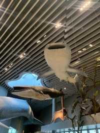 Shanghai Natural Museum 🐒🫎🦕🦖🦑🐋