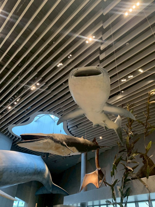 Shanghai Natural Museum 🐒🫎🦕🦖🦑🐋