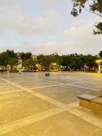 民生社區｜公園、鳳梨酥與潮流咖啡🍍